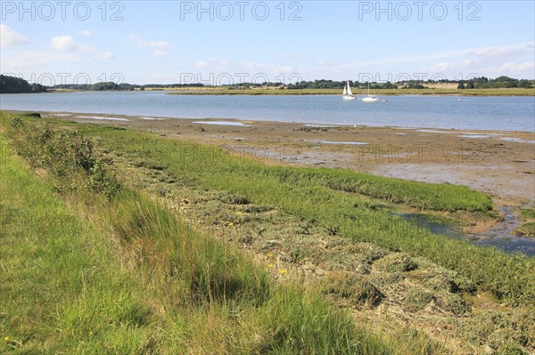 Sailing boat yacht on River Deben view from Sutton, Suffolk, England, UK