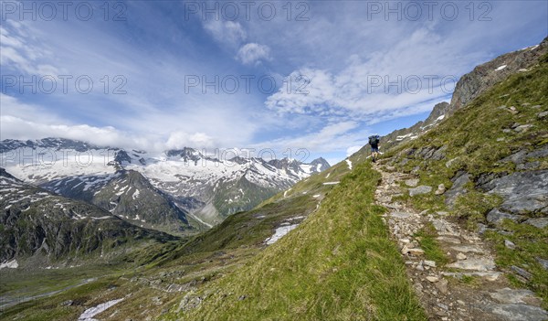 Mountaineer on hiking trail in picturesque mountain landscape, mountain peak with snow and glacier Hornkees and Waxeggkees, summit Hornspitzen and Großer Möseler, Berliner Höhenweg, Zillertal Alps, Tyrol, Austria, Europe