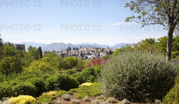 Generalife palace gardens, Alhambra, Granada, Spain, Europe