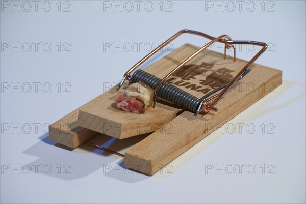 Mousetrap with bacon, Hamburg, Hamburg, Federal Republic of Germany