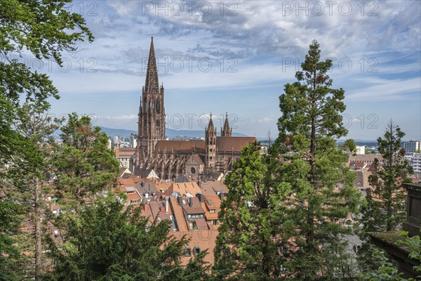 View over the roofs of the old town with Freiburg Minster, Freiburg im Breisgau, Baden-Württemberg, Germany, Europe