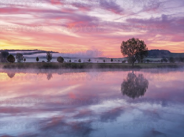 Still lake with morning mist at sunrise and dawn, a tree stands on the shore, clouds and landscape are reflected in the water, Thuringia, Germany, Europe