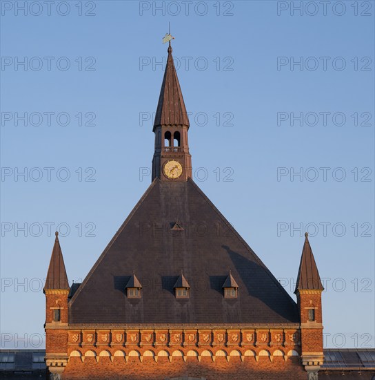 Copenhagen Central Station, Københavns Hovedbanegård, designed by architect Heinrich Wenck, Copenhagen, Denmark, Europe