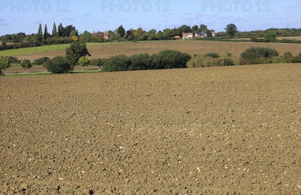 Rural early autumn landscape harrowed fields Monewden, Suffolk, England, UK