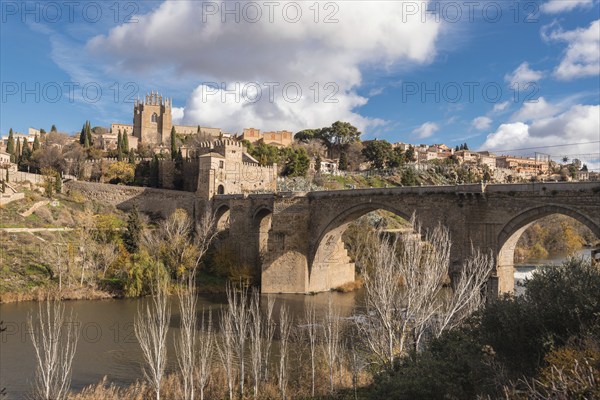 Toledo medieval bridge and cityscape, Spain, Europe