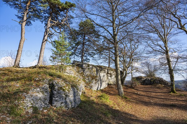 Hangender Stein natural monument, a rock formation on the 956, 5 metre-high Raichberg on the Albtrauf, Onstmettingen, Zollernalbkreis, Baden-Württemberg, Germany, which continues to drift away due to erosion, Europe
