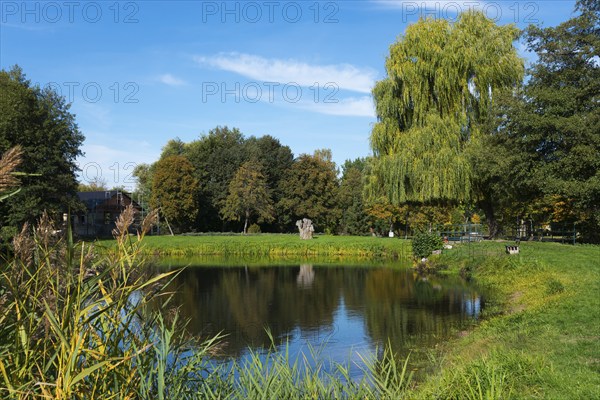 A quiet pond surrounded by green trees under a blue sky, Magdeburgerforth, Jerichower Land, Saxony-Anhalt, Germany, Europe