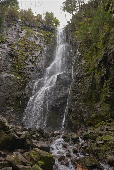 Waterfall in the forest, Burgbach waterfall near Schapbach, Black Forest, Baden-Wurttemberg, Germany, Europe