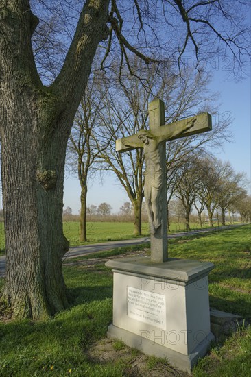 A stone crucifix next to a tree-lined path in a rural landscape under a blue sky, Borken, North Rhine-Westphalia, Germany, Europe
