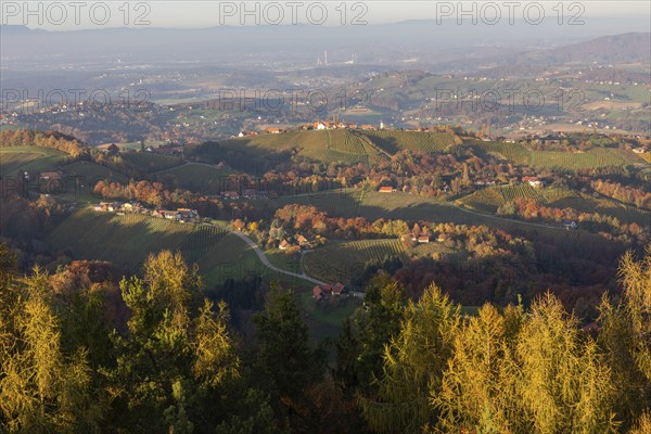 Autumn atmosphere in the evening light, forest with foliage colouring, hilly landscape, vineyards, view from the Demmerkogel lookout point, St. Andrä-Höch, Sausal wine country, Styria, Austria, Europe