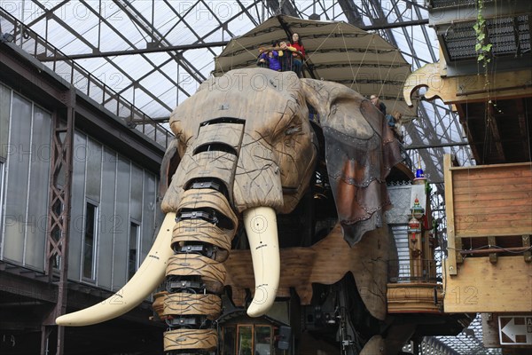 Tourist attraction The Great Elephant on the Ile de Nantes in the Loire, Nantes, Loire-Atlantique department, Pays de la Loire region, France, Europe