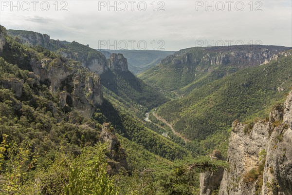 Gorges of Tarn seen from hiking trail on the corniches of Causse Mejean above the Tarn Gorges. La bourgarie, Lozere, France, Europe