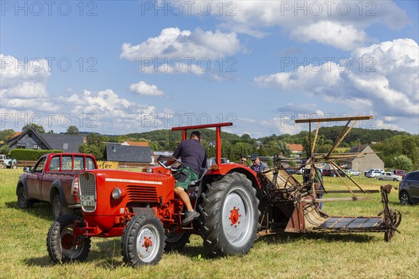 The Cunnersdorf village association presented historical harvesting techniques in agriculture, including sheaf tying, Agriculture, Cunnersdorf, Saxony, Germany, Europe
