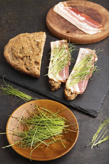 Bread sandwiches with jerky salted meat and lard with onion microgreen on black concrete background. side view, close up