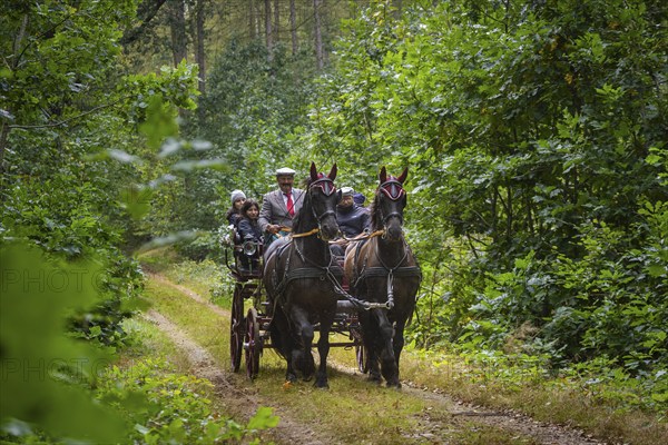 Presentation and route ride, all carriages in stylish tension, popular sporting event over approx. 30 km. An event organised by Reit- und Fahrverein Moritzburg e.V., 29th Moritzburger Teichrundfahrt, Moritzburg, Saxony, Germany, Europe