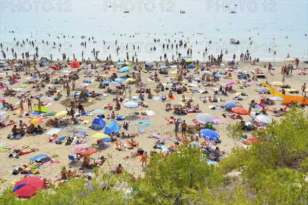 A crowded beach with many people sunbathing and swimming, colorful umbrellas and the sea in the background, Summer, Plage de Sainte Croix, La Couronne, Martigues, Cote Bleue, Mediterranean Sea, Provence Alpes Cote d Azur, Bouches du Rhone, France, Europe
