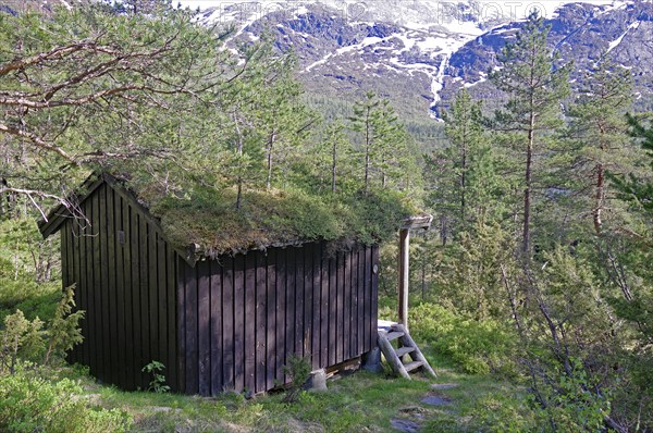 Rustic wooden hut in the middle of a green forest with mountains in the background, typical holiday huts on a campsite, Gaulartal, Norway, Europe