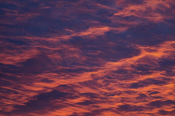 Reddish orange cloud structures, dawn