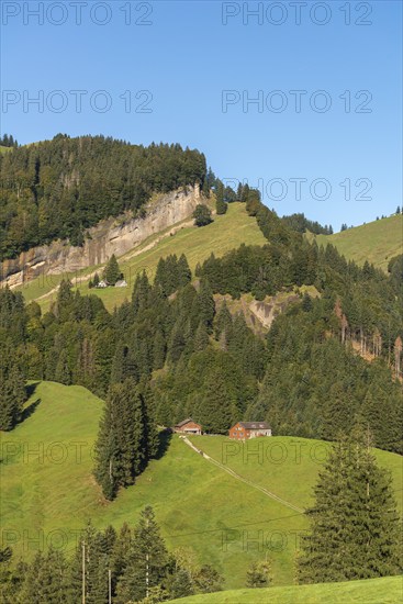 Urnäsch, mountain pasture, forest, rock face, path, Canton Appenzell, Ausserrhoden, Appenzell Alps, Switzerland, Europe