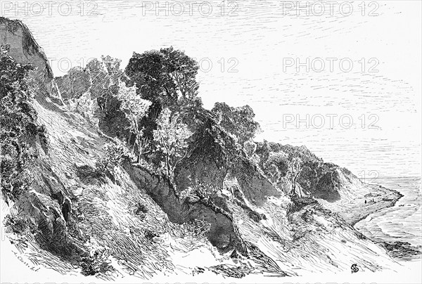 Lesnoye or Warnicken, Svetlogorsk municipal district, Kaliningrad oblast, Baltic Sea, Russia, steep coast, erosion, rugged, trees, historical illustration 1880, Europe