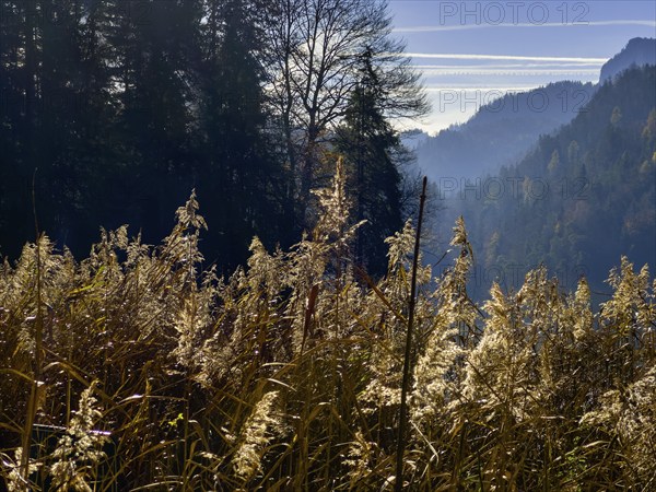 Autumn atmosphere at Hechtsee lake near Kufstein, Tyrol, Austria, Europe