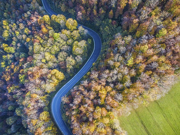 Winding country road through a forest with autumn-coloured trees, Swabian Alb in autumn. Aerial view. Lenningen, Baden-Württemberg, Germany, Europe