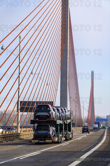 Friedrich Ebert Bridge over the Rhine near Bonn, also known as the North Bridge, motorway bridge on the A565, cable-stayed bridge, North Rhine-Westphalia, Germany, Europe