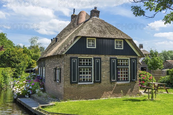 Thatched roof house, house, farmhouse, village, rural, flowers, well-kept, blue sky, architecture, tourism, travel, attraction, Giethhoorn, Netherlands
