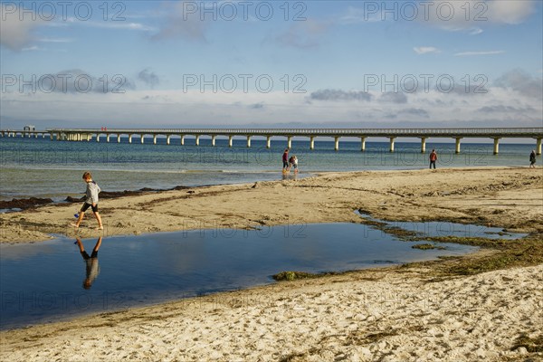 The new Prerow pier, at 720 metres the longest pier in the Baltic Sea, Prerow seaside resort, Fischland-Darß-Zingst peninsula, Mecklenburg-Western Pomerania, Germany, Europe