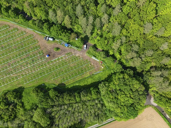 Aerial view of a solar park under construction at the edge of the forest with construction site vehicles and green nature, construction of the Black Forest Nature solar park, Weil der Stadt, Germany, Europe