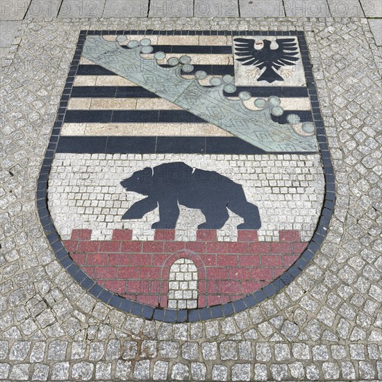 Magdeburg Bear, Magdeburg, Saxony Anhalt, Germany, Europe