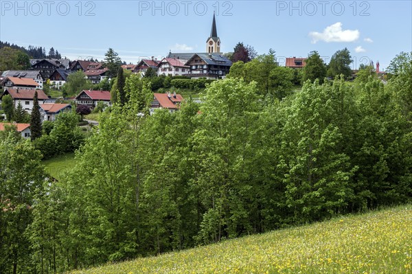 View of Oberstaufen, Oberallgäu, Bavaria, Germany, Europe