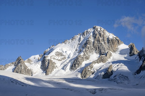 High alpine mountain landscape, summit of the Aiguille de Chardonnet and Glacier du Tour, glaciers and mountain peaks, Chamonix, Haute-Savoie, France, Europe