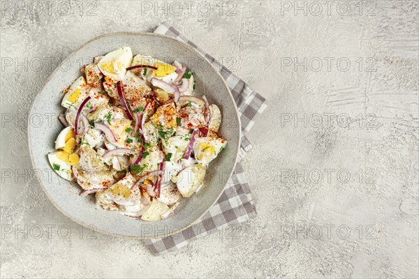 Potato and egg salad, red onion, with mayonnaise, homemade, no people