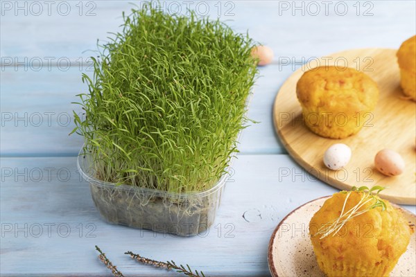 Homemade cakes with chocolate eggs and carrot microgreen on a blue wooden background. side view, close up