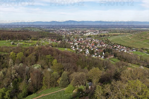 View of Müllheim and the Vosges Mountains, Badenweiler, Markgräflerland, Black Forest, Baden-Württemberg, Germany, Europe