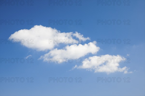 White fleecy clouds adorn the blue sky