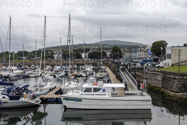 Harbour with many boats and a cloudy mountain in the background, Ballycastle
