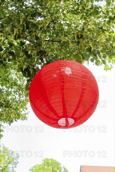 Close-up of a red lantern hanging from a tree in summer, Nagold, Black Forest, Germany, Europe