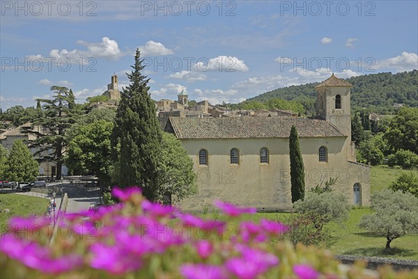 Temple, church, floral decoration and townscape of Lourmarin, Luberon, Vaucluse, Provence, France, Europe