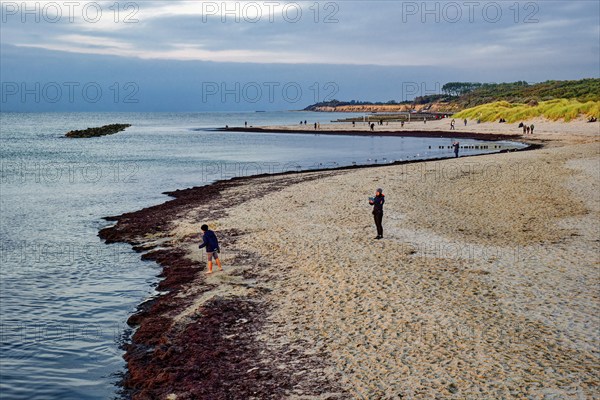 Baltic Sea beach, walkers on the Baltic Sea coast on Wustrow beach in the evening light, evening mood, Baltic seaside resort Wustrow, Fischland-Darß-Zingst peninsula, Mecklenburg-Western Pomerania, Germany, Europe