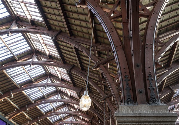 Interior architecture, roof construction, Copenhagen Central Station, Københavns Hovedbanegård, designed by architect Heinrich Wenck, Copenhagen, Denmark, Europe