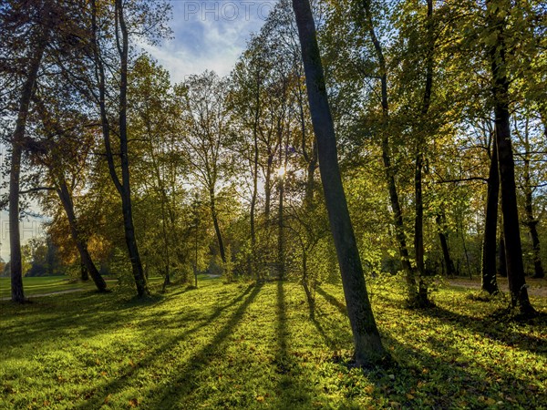 Autumn atmosphere in the English Garden, Munich, Bavaria, Germany, Europe