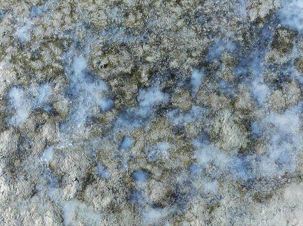 Detail of salt marshes near Sanlúcar de Barrameda. Aerial view. Drone shot. Cádiz province, Andalusia, Spain, Europe