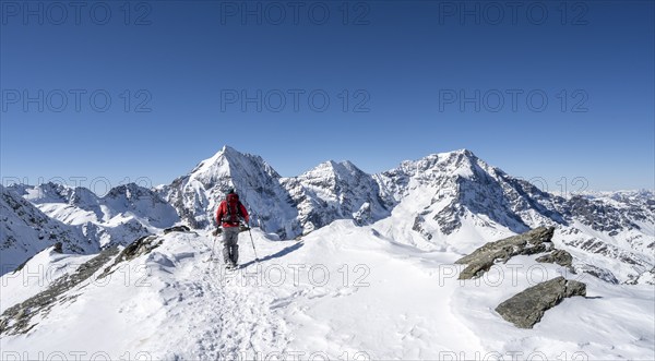 Ski tourers on foot, mountain panorama with snow-covered mountain landscape in winter, view of mountain peaks Königsspitze, Monte Zebru and Ortler, summit of Madritschspitze, Ortler Alps, Vinschgau Valley, Italy, Europe