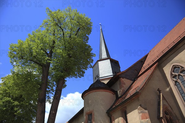 Protestant town church, Schlitz, small town in the east of the Vogelsberg district in central Hesse, Hesse, Germany, Europe