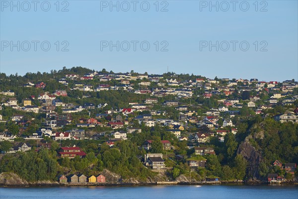 Residential neighbourhood on a wooded hill by the North Sea, under a blue sky, Bergen, Vestland, Norway, Europe