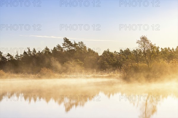 Morning mist at a forest lake in the sunrise with water reflections at autumn