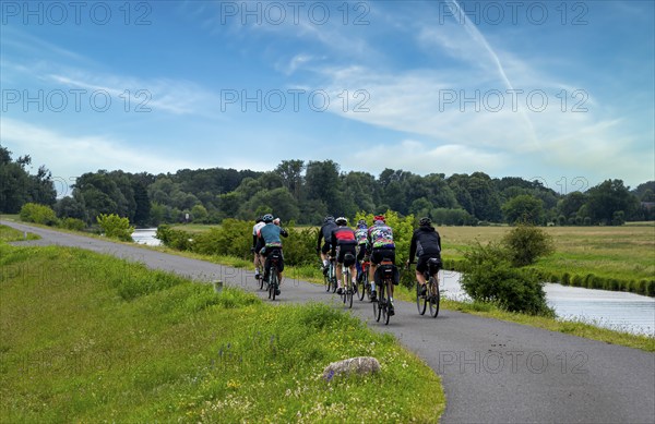 Cyclist on a cycle path by the river, landscape in the Lower Oder Valley National Park, Criewen, Brandenburg, Germany, Europe