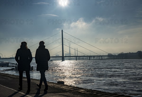 Dense fog is slowly lifting, riverside promenade on the Rhine near Düsseldorf, in front the Oberkassler Bridge, behind it the Rheinknie Bridge, North Rhine-Westphalia, Germany, Europe